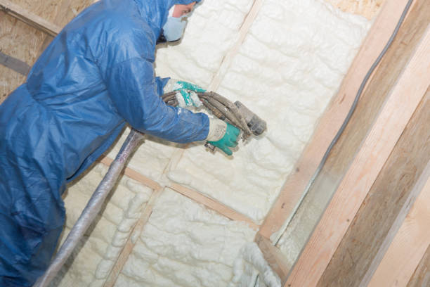 Papillion, NE Foam Insulation Services Company